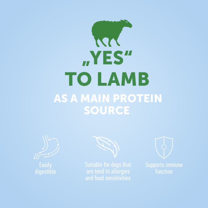 dry food for adult dogs of all breeds with lamb
